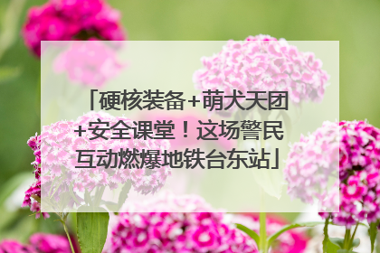 硬核装备+萌犬天团+安全课堂！这场警民互动燃爆地铁台东站