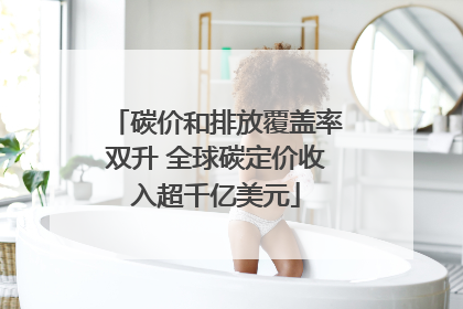 碳价和排放覆盖率双升 全球碳定价收入超千亿美元