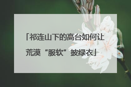 祁连山下的高台如何让荒漠“服软”披绿衣