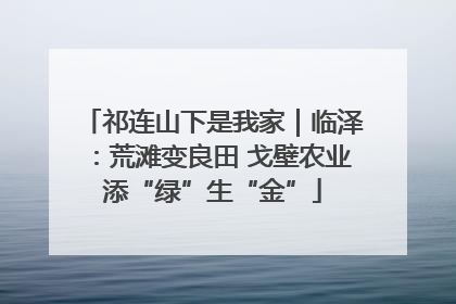 祁连山下是我家｜临泽：荒滩变良田 戈壁农业添“绿”生“金”