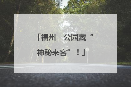 福州一公园藏“神秘来客”！