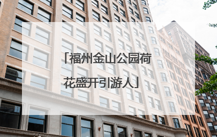 福州金山公园荷花盛开引游人