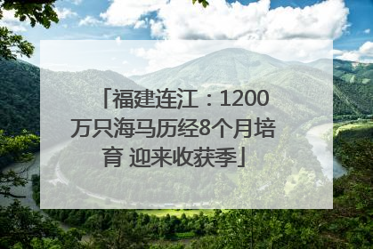 福建连江：1200万只海马历经8个月培育 迎来收获季
