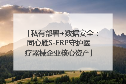 私有部署+数据安全：同心雁S-ERP守护医疗器械企业核心资产