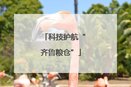 科技护航“齐鲁粮仓”