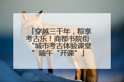 穿越三千年，粽享考古乐！商都书院街“城市考古体验课堂”端午“开课”