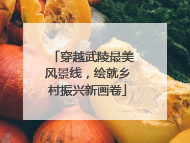 穿越武陵最美风景线，绘就乡村振兴新画卷