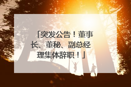 突发公告！董事长、董秘、副总经理集体辞职！