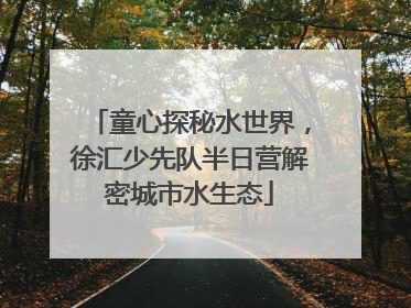 童心探秘水世界，徐汇少先队半日营解密城市水生态