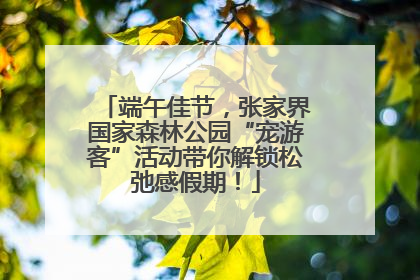 端午佳节，张家界国家森林公园“宠游客”活动带你解锁松弛感假期！