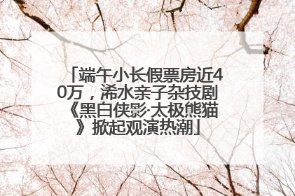 端午小长假票房近40万，浠水亲子杂技剧《黑白侠影·太极熊猫》掀起观演热潮