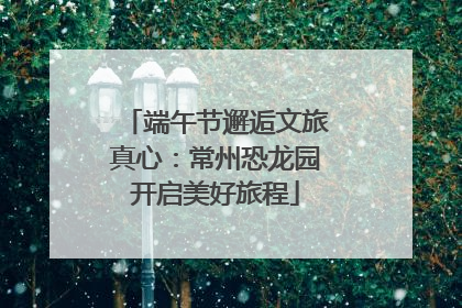 端午节邂逅文旅真心：常州恐龙园开启美好旅程