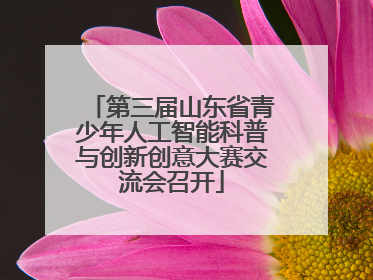 第三届山东省青少年人工智能科普与创新创意大赛交流会召开