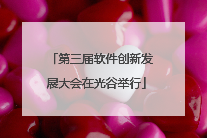 第三届软件创新发展大会在光谷举行