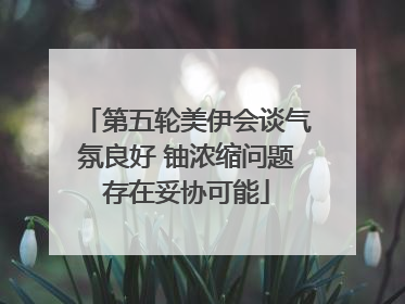 第五轮美伊会谈气氛良好 铀浓缩问题存在妥协可能