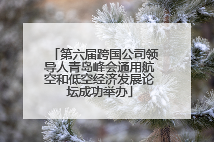 第六届跨国公司领导人青岛峰会通用航空和低空经济发展论坛成功举办