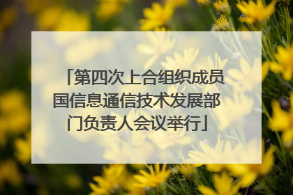 第四次上合组织成员国信息通信技术发展部门负责人会议举行