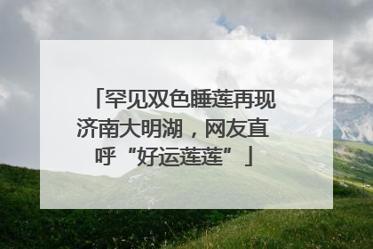 罕见双色睡莲再现济南大明湖，网友直呼“好运莲莲”