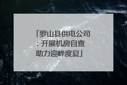 罗山县供电公司：开展机房自查 助力迎峰度夏