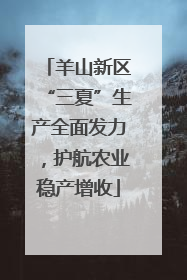 羊山新区“三夏”生产全面发力，护航农业稳产增收