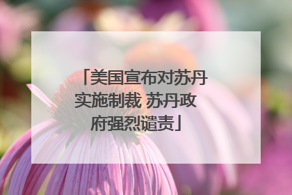 美国宣布对苏丹实施制裁 苏丹政府强烈谴责