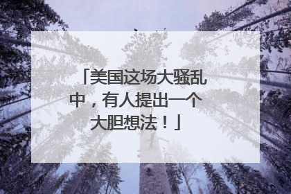 美国这场大骚乱中，有人提出一个大胆想法！