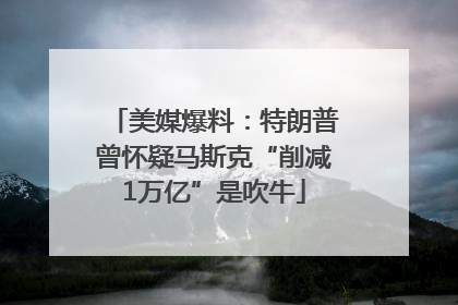 美媒爆料：特朗普曾怀疑马斯克“削减1万亿”是吹牛