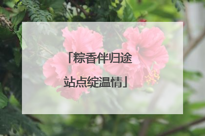 粽香伴归途 站点绽温情