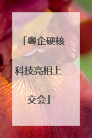 粤企硬核科技亮相上交会