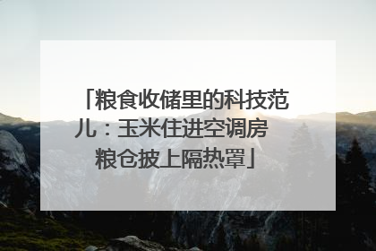 粮食收储里的科技范儿：玉米住进空调房 粮仓披上隔热罩