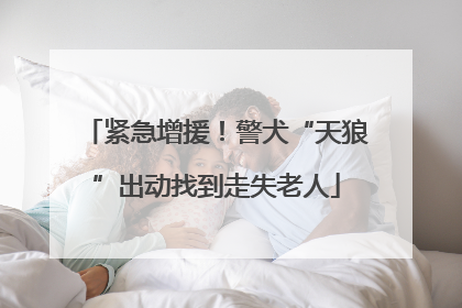 紧急增援！警犬“天狼”出动找到走失老人