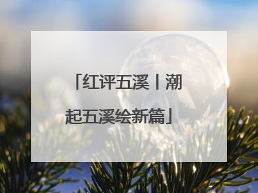 红评五溪丨潮起五溪绘新篇