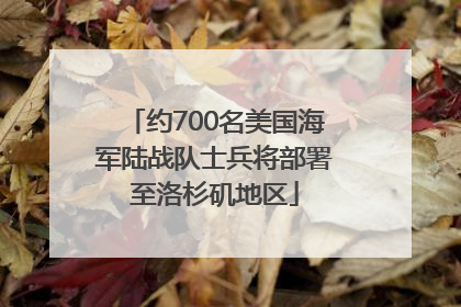 约700名美国海军陆战队士兵将部署至洛杉矶地区