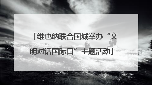 维也纳联合国城举办“文明对话国际日”主题活动