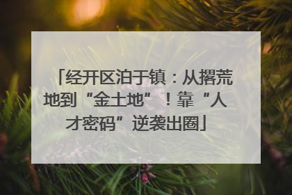经开区泊于镇：从撂荒地到“金土地”！靠“人才密码”逆袭出圈