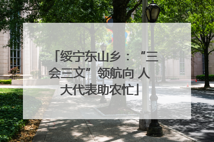 绥宁东山乡：“三会三文”领航向 人大代表助农忙