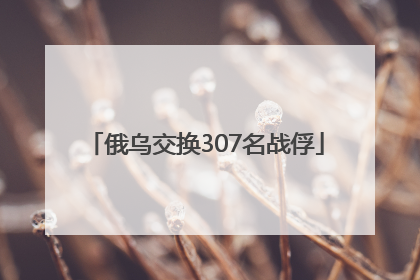 俄乌交换307名战俘