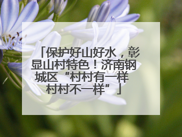 保护好山好水，彰显山村特色！济南钢城区“村村有一样 村村不一样”