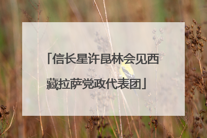 信长星许昆林会见西藏拉萨党政代表团