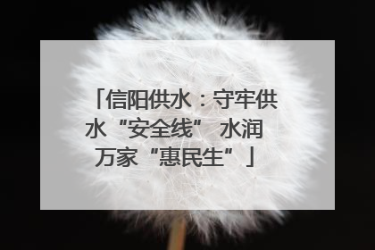 信阳供水：守牢供水“安全线” 水润万家“惠民生”