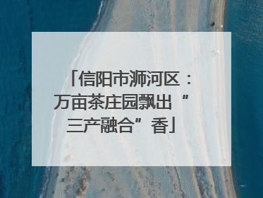 信阳市浉河区：万亩茶庄园飘出“三产融合”香