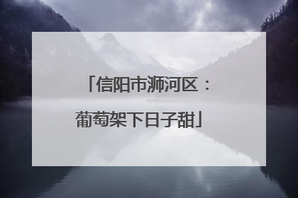 信阳市浉河区：葡萄架下日子甜