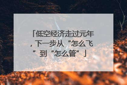 低空经济走过元年，下一步从“怎么飞”到“怎么管”