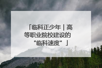 临科正少年｜高等职业院校建设的“临科速度”