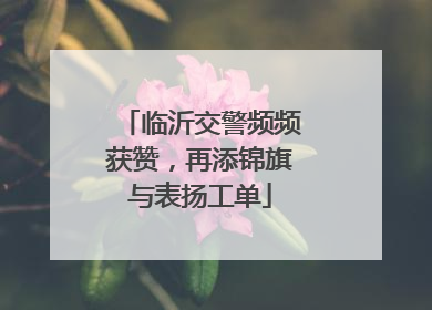 临沂交警频频获赞，再添锦旗与表扬工单