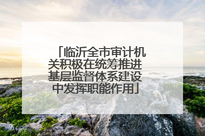临沂全市审计机关积极在统筹推进基层监督体系建设中发挥职能作用