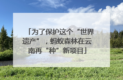 为了保护这个“世界遗产”，蚂蚁森林在云南再“种”新项目