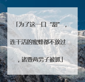 为了这一口“甜”，连干活的蜜蜂都不放过，诸暨两男子被抓