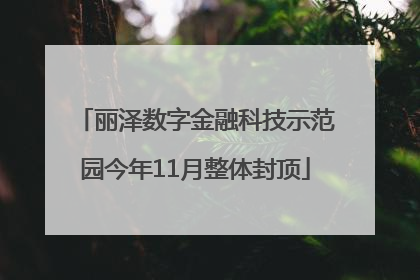 丽泽数字金融科技示范园今年11月整体封顶