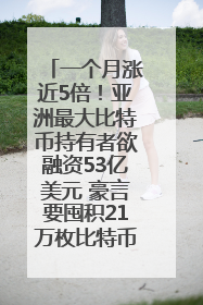 一个月涨近5倍！亚洲最大比特币持有者欲融资53亿美元 豪言要囤积21万枚比特币